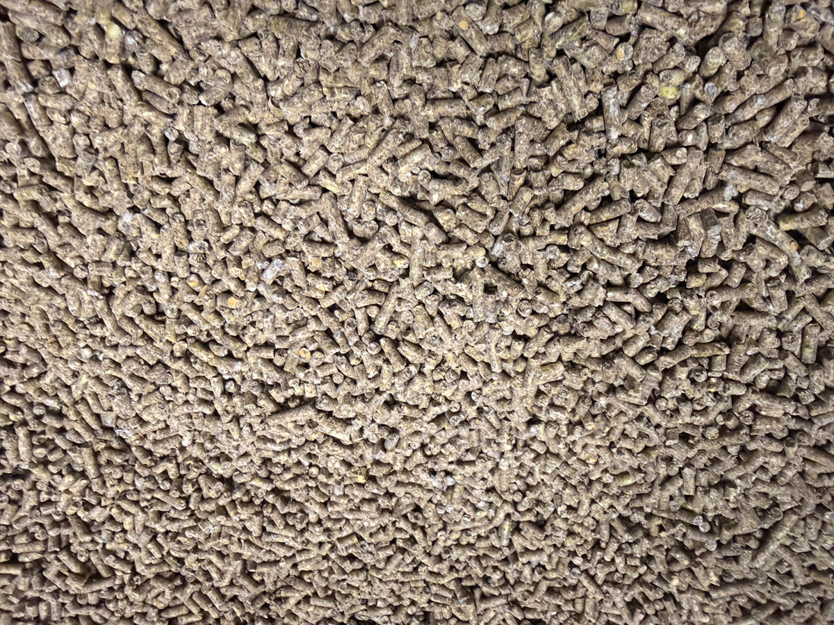 Layer Pellets Non GMO Soy Free 50 lbs