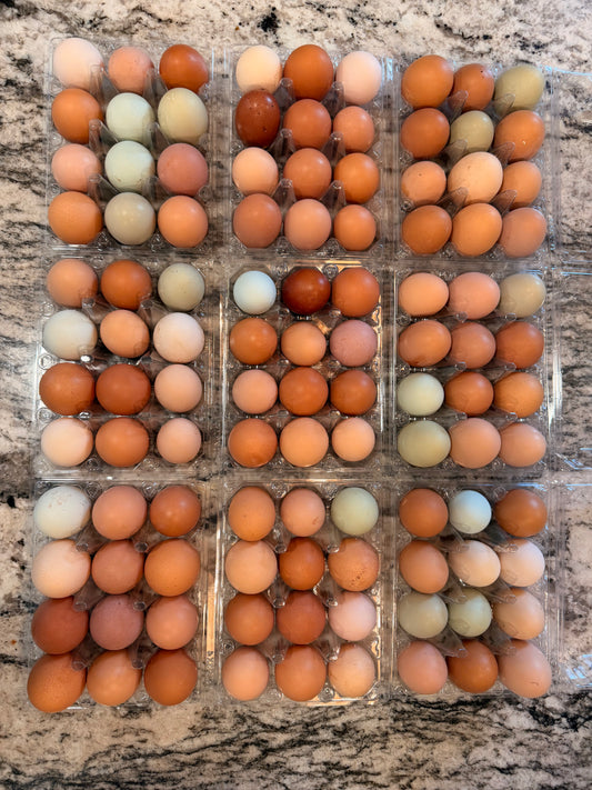 Eggs By The Dozen