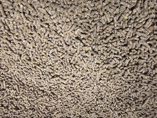 Layer Pellets Non GMO Soy Free 50 lbs