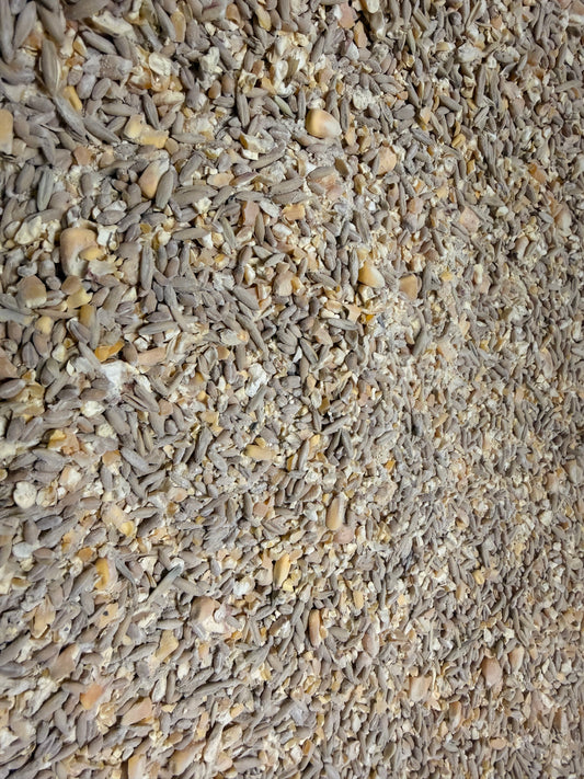 Scratch Grain Non-GMO 50 lbs